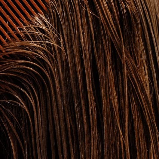5 Scalp Massages with Steamer at Relax with Jackie in Denver, CO